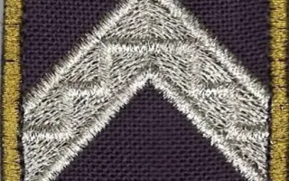 Büntetés-végrehajtási karlap - Törzszászlós (12M) 1