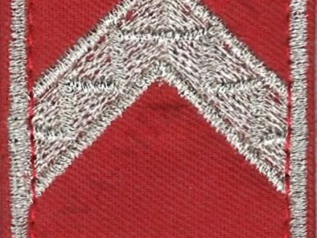 Katasztrófavédelem karlap - Törzsőrmester (12M)