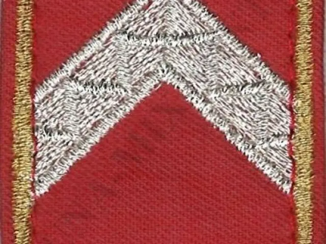 Katasztrófavédelem karlap - Törzszászlós (12M)