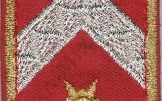 Katasztrófavédelem karlap - Főtörzs-zászlós (12M) 1