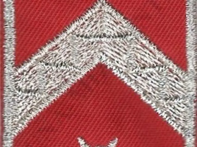 Katasztrófavédelem váll-lap - Főtörzs-őrmester (12M)