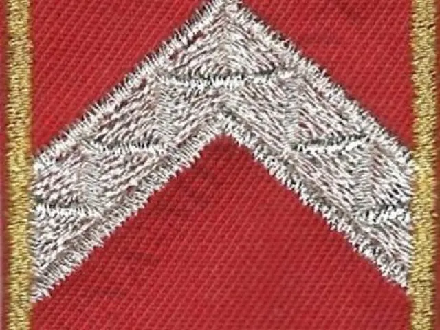 Katasztrófavédelem váll-lap - Törzszászlós (12M)