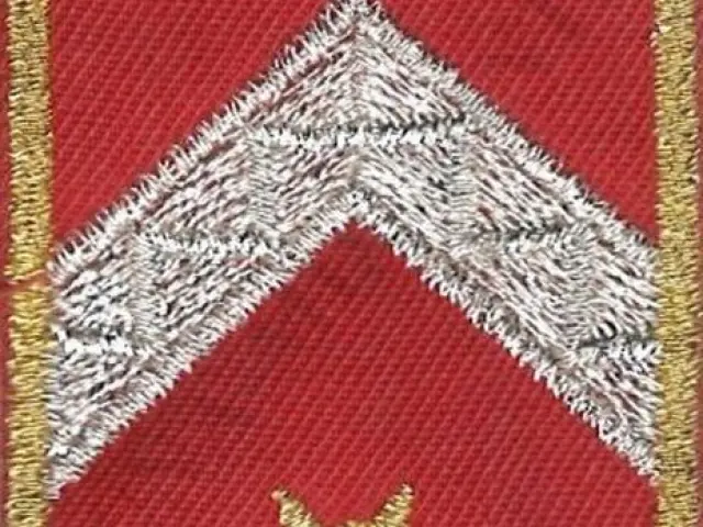 Katasztrófavédelem váll-lap - Főtörzs-zászlós (12M)
