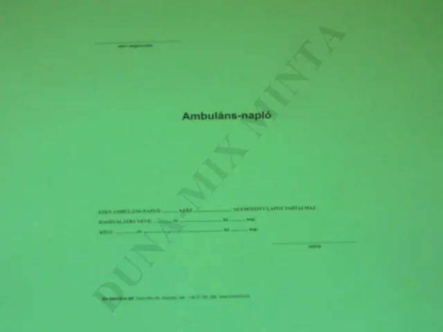 Ambuláns napló
