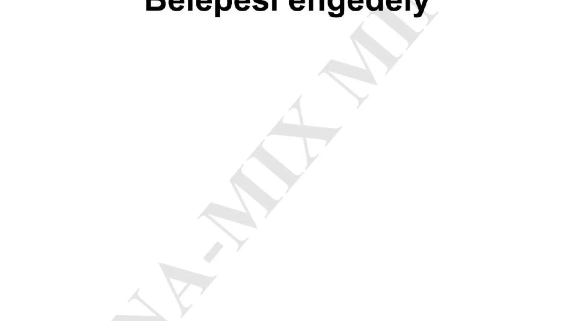 Belépési engedély (200 /lapos)