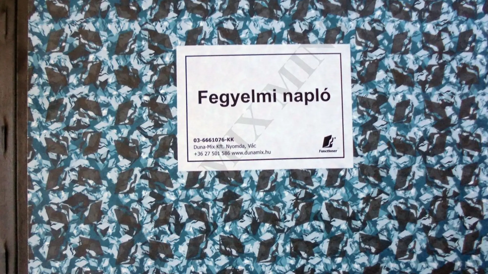 Fegyelmi napló