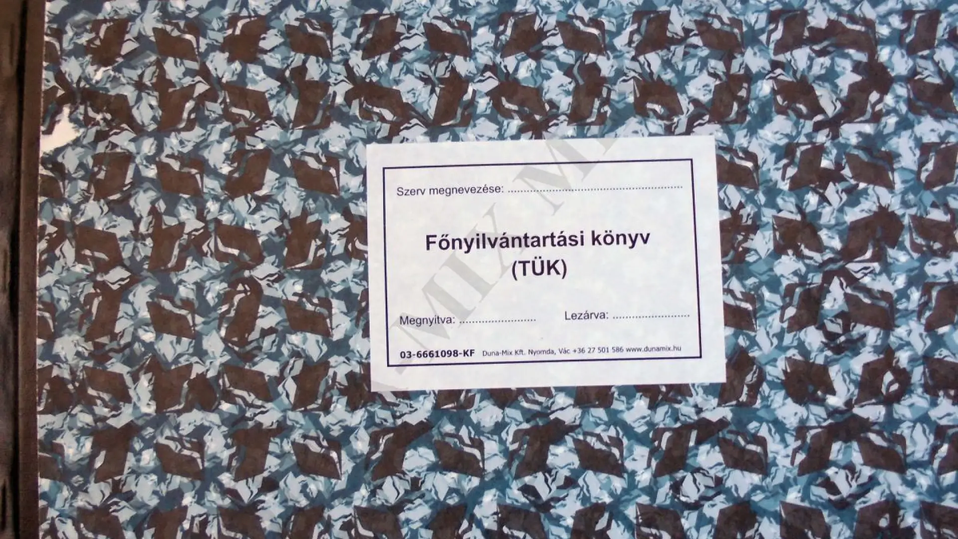 Főnyilvántartási könyv (TÜK)