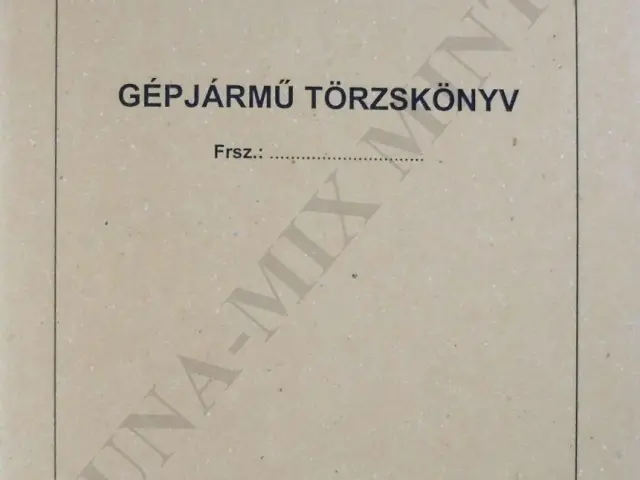 Gépjármű törzskönyv