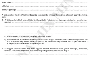 7. sz. függ. Nyilatk. a külf. fizetőeszk. kezel.-ről. felhaszn.-ról 1
