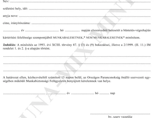 19. sz. mell.Határozat baleset minősítéséről