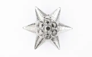 Társasági csillag 17 mm-es tábornoki [R,KR,KV] 1