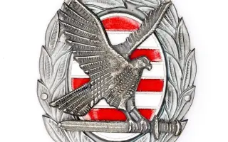 Felsőfokú végzettséget tanúsító jelvény ezüst NKE 1