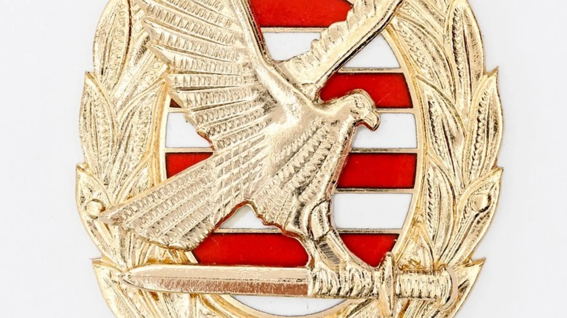 Felsőfokú végzettséget tanúsító jelvény arany NKE